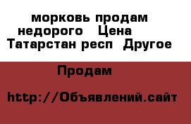 морковь продам  недорого › Цена ­ 29 - Татарстан респ. Другое » Продам   